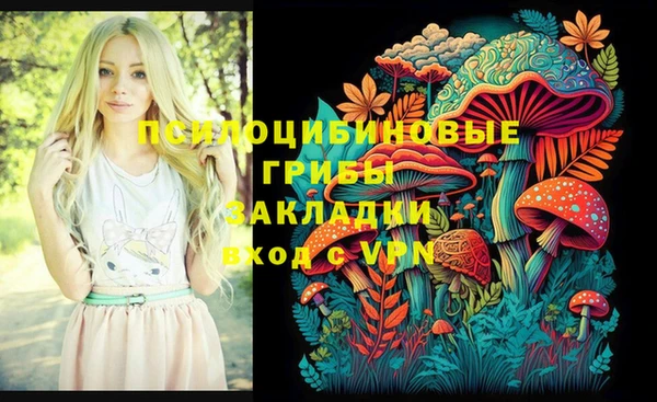 скорость Алексин