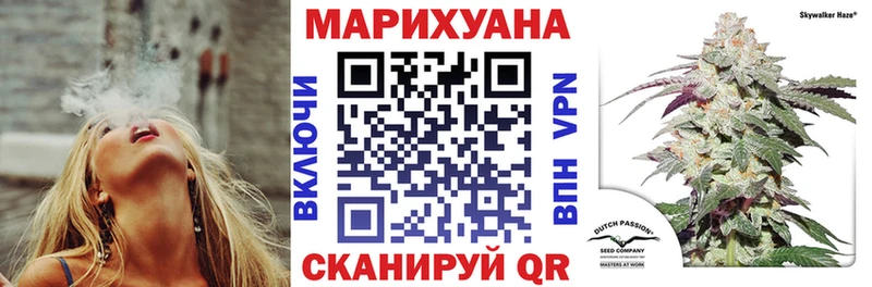 где купить Сосновка Конопля семена